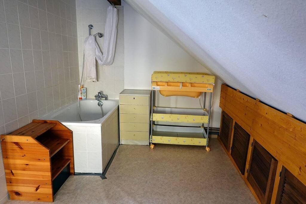 Appartement Dans Vielle Ferme Au Coeur Des Vosges プレンフェン エクステリア 写真