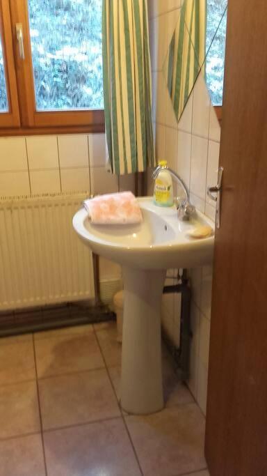 Appartement Dans Vielle Ferme Au Coeur Des Vosges プレンフェン エクステリア 写真