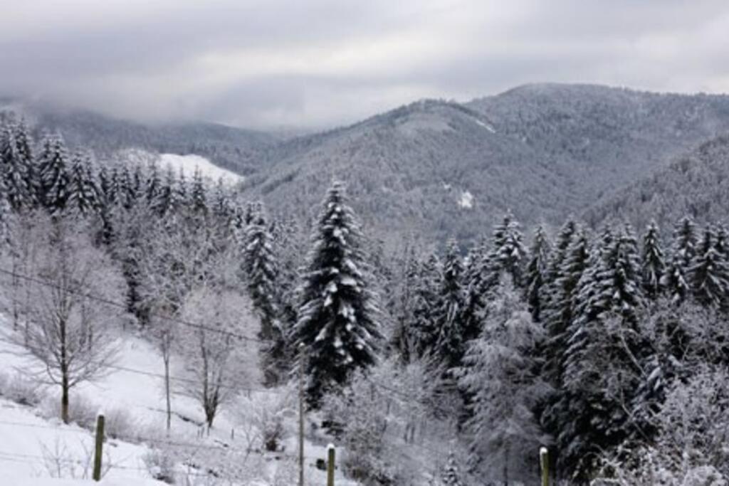Appartement Dans Vielle Ferme Au Coeur Des Vosges プレンフェン エクステリア 写真