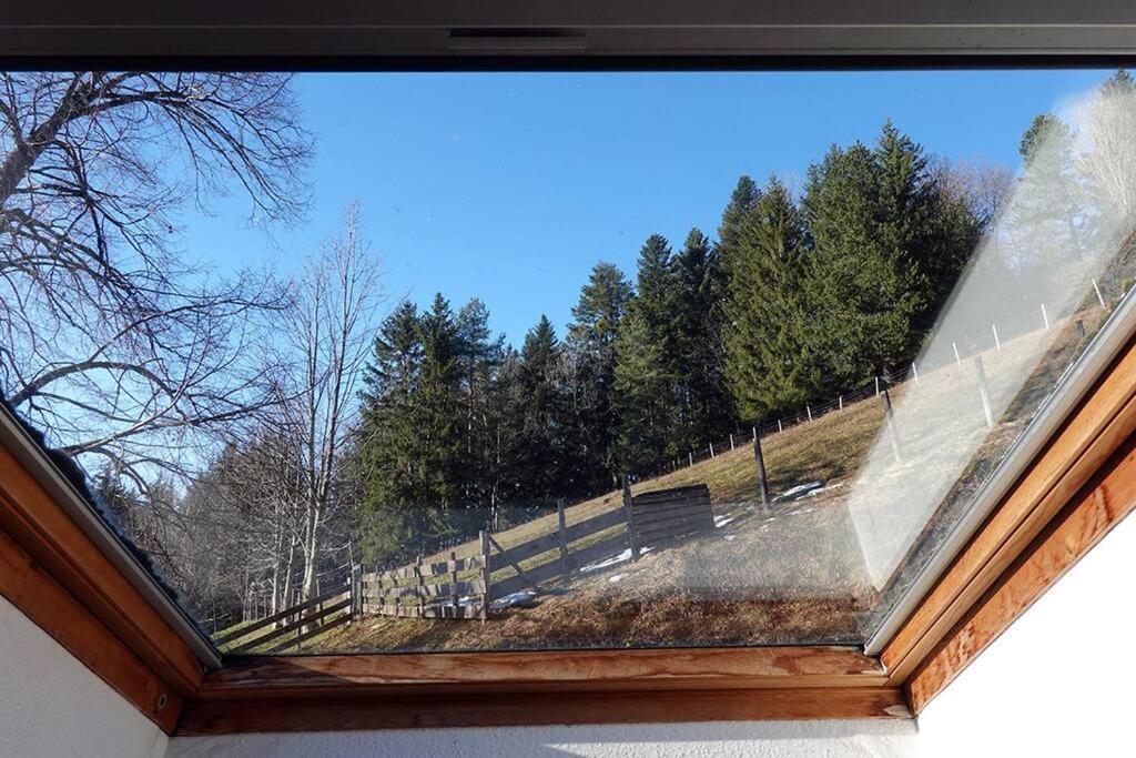 Appartement Dans Vielle Ferme Au Coeur Des Vosges プレンフェン エクステリア 写真