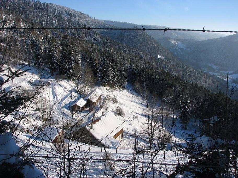 Appartement Dans Vielle Ferme Au Coeur Des Vosges プレンフェン エクステリア 写真