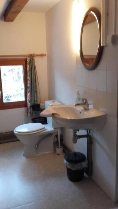 Appartement Dans Vielle Ferme Au Coeur Des Vosges プレンフェン エクステリア 写真