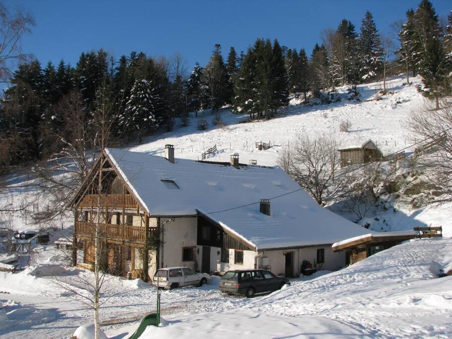 Appartement Dans Vielle Ferme Au Coeur Des Vosges プレンフェン エクステリア 写真