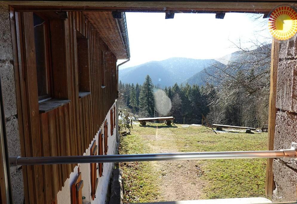Appartement Dans Vielle Ferme Au Coeur Des Vosges プレンフェン エクステリア 写真