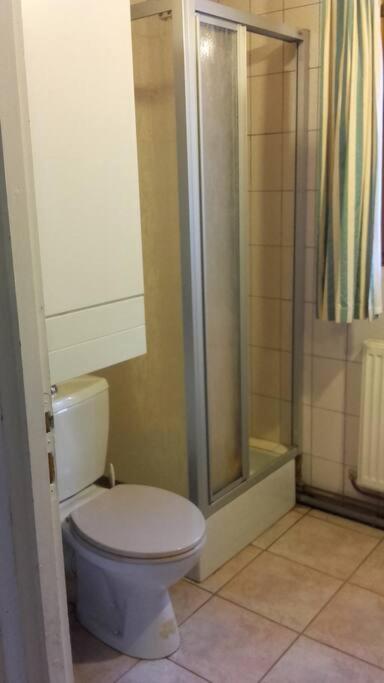 Appartement Dans Vielle Ferme Au Coeur Des Vosges プレンフェン エクステリア 写真